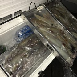 寿裕 （YOSHIHIRO） 釣果