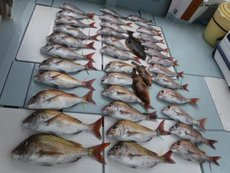 遊漁船 幸友丸 釣果