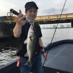 シーマジカル 釣果