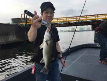 シーマジカル 釣果