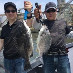 シーマジカル 釣果