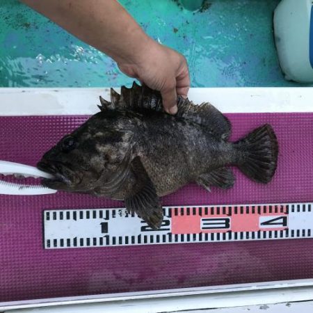 大貫丸 釣果