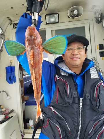 遊漁船　ニライカナイ 釣果