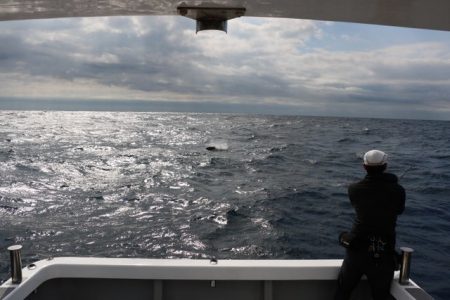 へいみつ丸 釣果