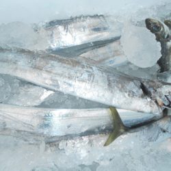 こうゆう丸 釣果