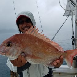 遊漁船　ニライカナイ 釣果
