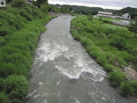 狩野川(狩野川漁業協同組合) 釣果