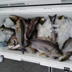 第二大福丸 釣果