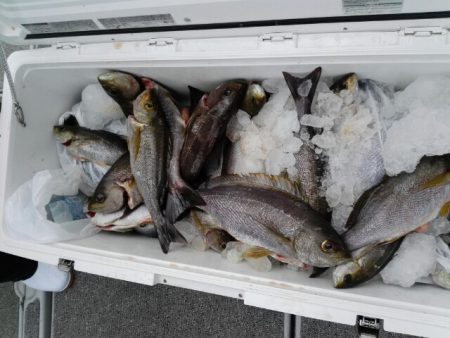 第二大福丸 釣果