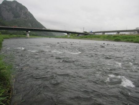 狩野川(狩野川漁業協同組合) 釣果