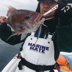 遊漁船ブルーウッズ 釣果