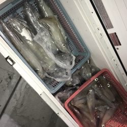 寿裕 （YOSHIHIRO） 釣果