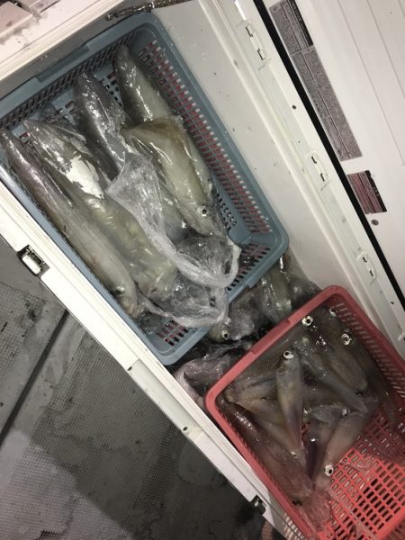 寿裕 （YOSHIHIRO） 釣果