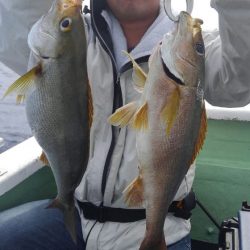 遊漁船 新鋭丸 釣果