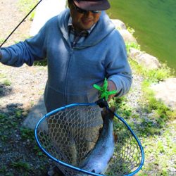 小菅トラウトガーデン 釣果