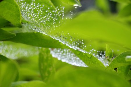 小菅トラウトガーデン 釣果