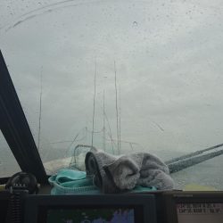 Fisherman Dreams DI 釣果