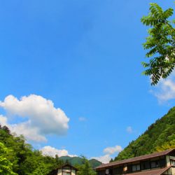 小菅トラウトガーデン 釣果