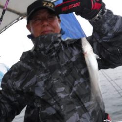 遊漁船 幸友丸 釣果