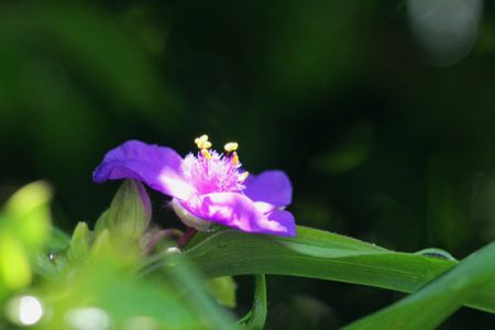 小菅トラウトガーデン 釣果