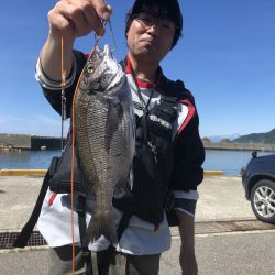由良渡船 釣果