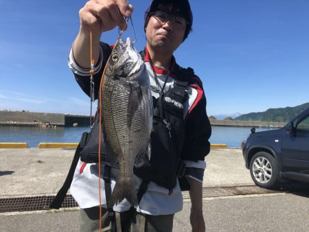 由良渡船 釣果