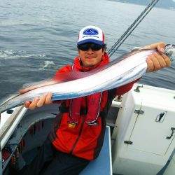 深川 吉野屋 釣果