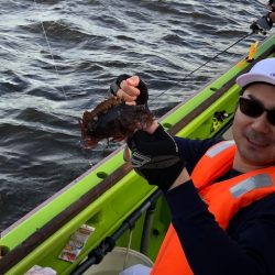 深川 吉野屋 釣果