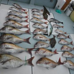 遊漁船 幸友丸 釣果