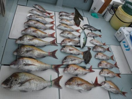 遊漁船 幸友丸 釣果