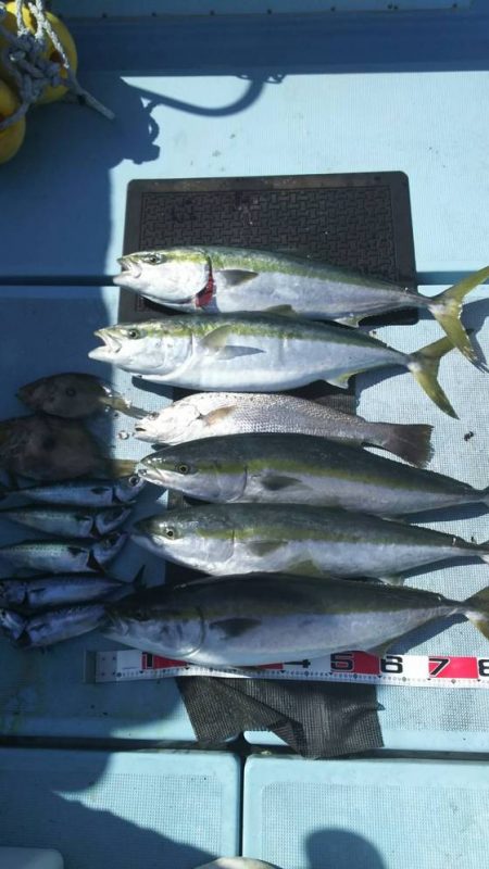 清和丸 釣果