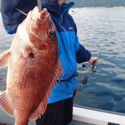 遊漁船ブルーウッズ 釣果