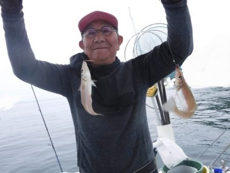 遊漁船 幸友丸 釣果