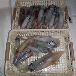 BlueNote Fishing Taxi 釣果