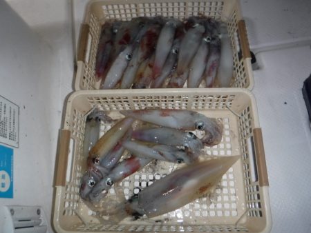 BlueNote Fishing Taxi 釣果