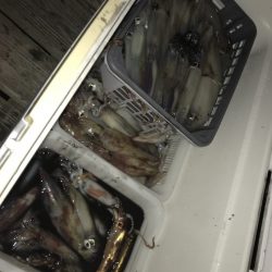 寿裕 （YOSHIHIRO） 釣果