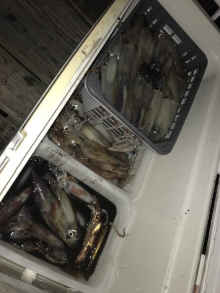 寿裕 （YOSHIHIRO） 釣果