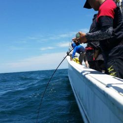 第五慶門丸 釣果