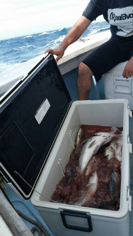 第五慶門丸 釣果