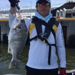 シーマジカル 釣果