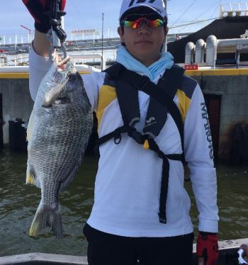 シーマジカル 釣果