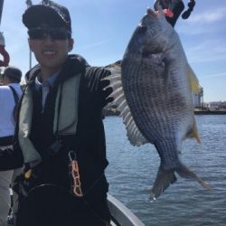 シーマジカル 釣果