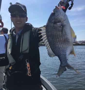 シーマジカル 釣果