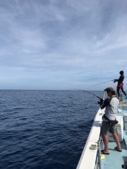 ことぶき丸 釣果