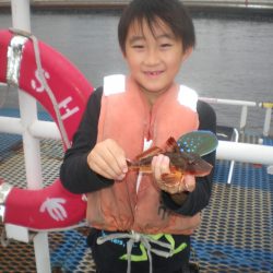 オリジナルメーカー海づり公園(市原市海づり施設) 釣果