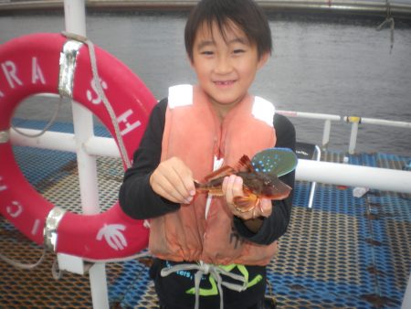 オリジナルメーカー海づり公園(市原市海づり…