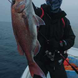 遊漁船ブルーウッズ 釣果