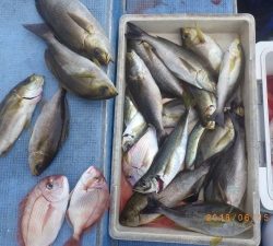 石川丸 釣果