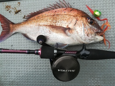 IDATEN(イダテン) 釣果