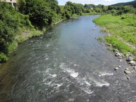 狩野川(狩野川漁業協同組合) 釣果